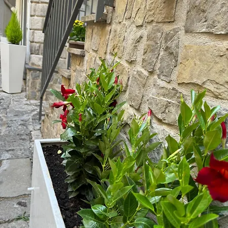 Solimena House 44 Guest house Nocera Inferiore